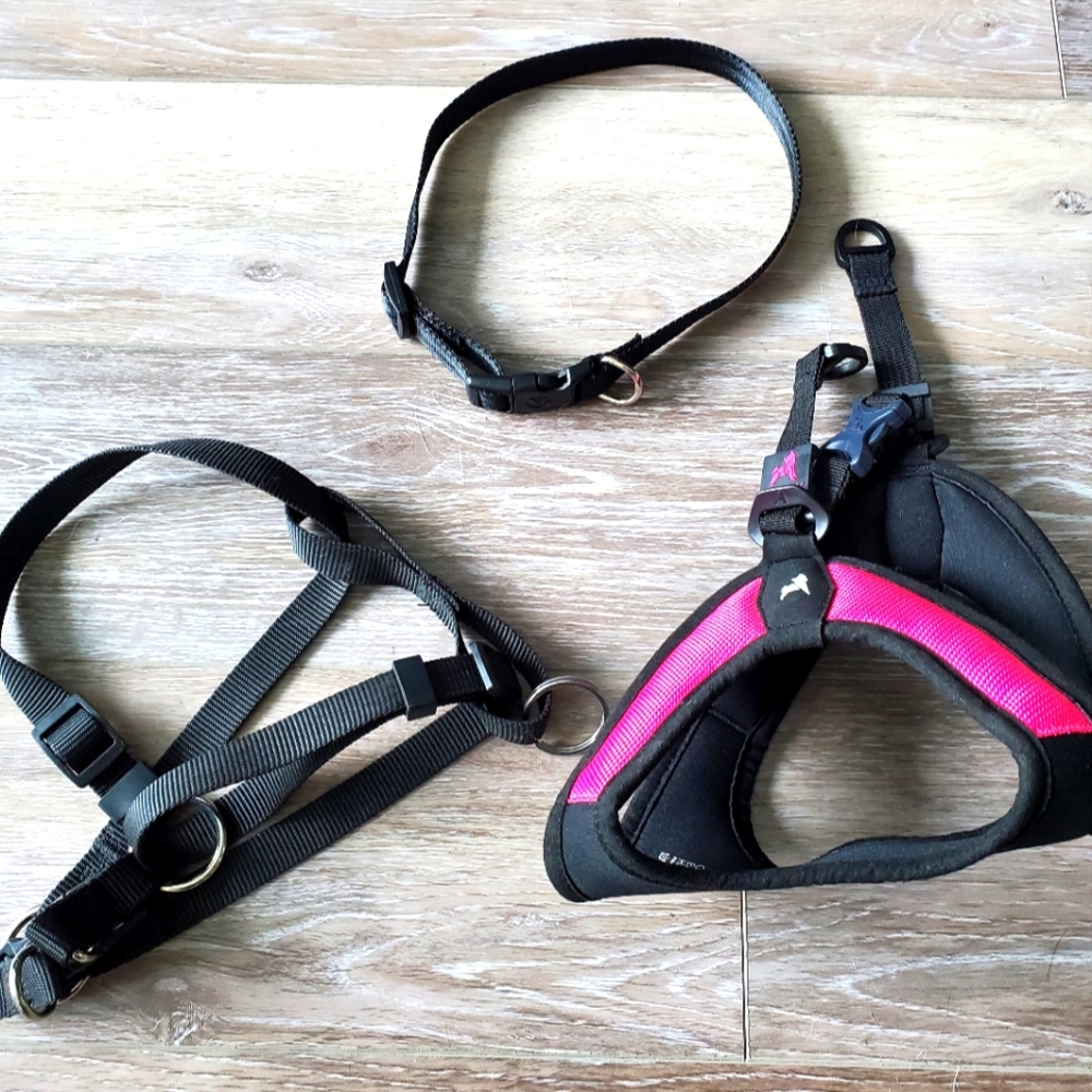 Pet Harness & Collar